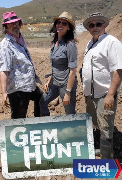 В погоне за драгоценностями / Gem Hunt (2013)