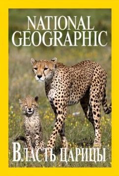 Власть царицы / Regime of the Queen (2018)