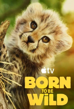 Возвращение в дикую природу / Born to be Wild (2025)