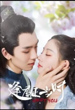 Встретить тебя / Feng Jun Zheng Dang Shi / Meet You (2021)