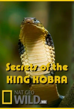 Загадки королевской кобры / Secrets of the King Cobra (2010)