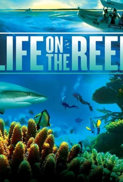 Жизнь на Большом Барьерном рифе / Life on the Reef (2014)