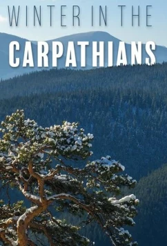 Зима в Карпатах / Winter in the Carpathians (2017)