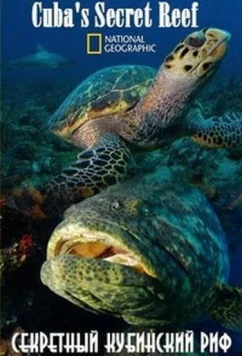 National Geographic. Секретный кубинский риф / Cuba's Secret Reef (2015)