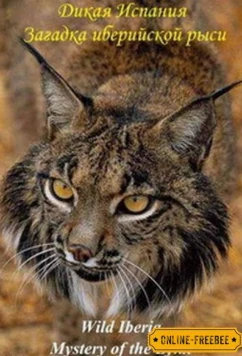 National Geographic. Дикая Иберия. Загадка иберийской рыси / Wild Iberia. Mystery of the Lynx (2012)