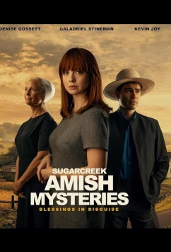 Тайны амишей из Шугар Крика: Нет худа без добра / Sugarcreek Amish Mysteries: Blessings in Disguise (2025)