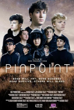 Пинпойнт / Pinpoint (2022)