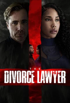 Адвокат по семейным делам / The Divorce Lawyer (2025)