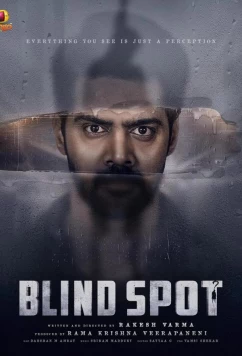 Слепое пятно / Blind Spot (2025)