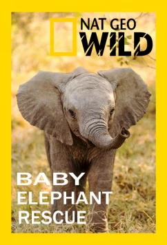 Спасение слонёнка / Baby Elephant Rescue (2018)