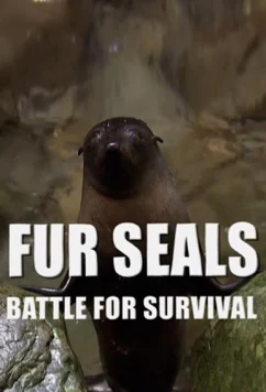 Морские котики: битва за выживание / Fur Seals. Battle for Suvival (2014)