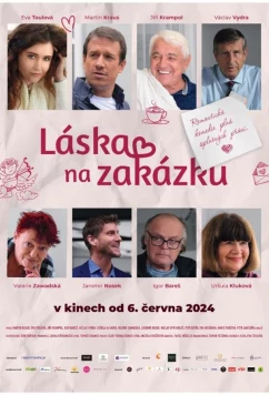Любовь на заказ (2024)