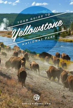 Приключения Йеллоустоун / Adventure Yellowstone (2013)