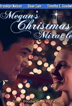 Рождественское чудо для Меган / Megan's Christmas Miracle (2018)