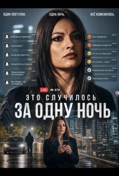 Это случилось за одну ночь (2025)
