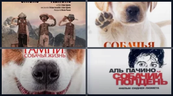 Фильмы про собак