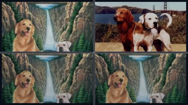 Все части Дорога домой