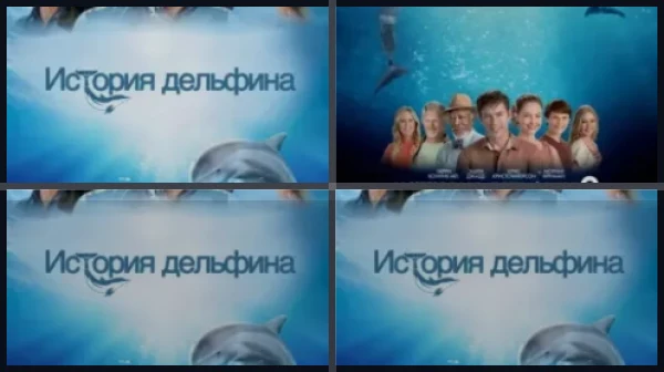 Все части История дельфина
