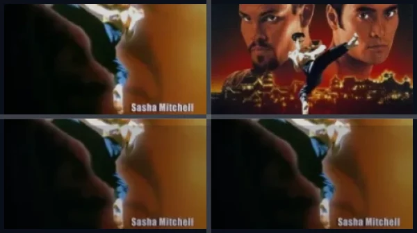 Все части Кикбоксер