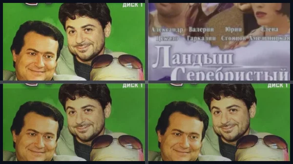 Все части Ландыш серебристый