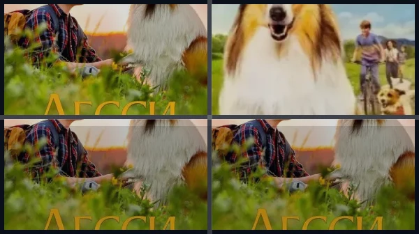 Все части Лесси. Возвращение