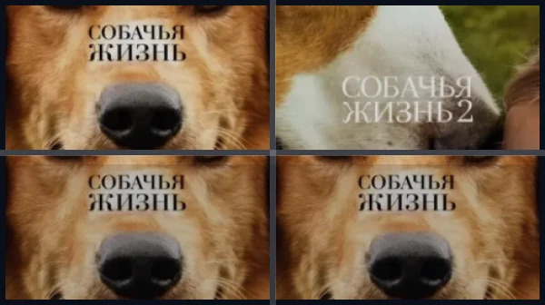 Все части Собачья жизнь