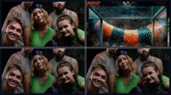 Все части Выживалити